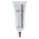 Dermalogica Treatment Foundation