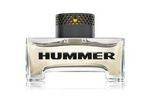 Elizabeth Arden Hummer