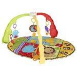 Fisher-Price Luv U Zoo Musical Mirror Activity Gym