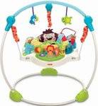 Fisher-Price Precious Planet Jumperoo