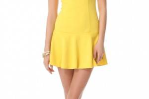 alice + olivia Drop Waist Boat Neck Dress