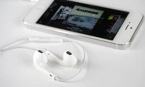 Apple Earphones