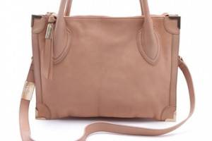 Foley + Corinna Frame Satchel