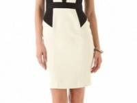 Milly Colorblock Bustier Dress