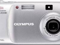 Olympus D-540 Zoom / C-310 / X-100