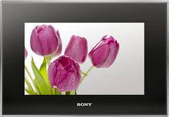 Sony DPF-V1000