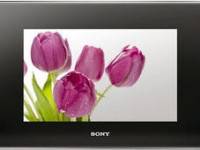 Sony DPF-V1000