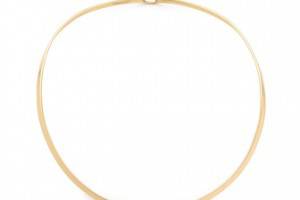 Charles Albert Round Neckwire Collar with Clasp