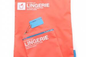 Flight 001 Go Clean Lingerie Bag
