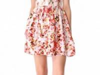 Parker Jenna Strapless Dress