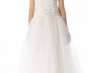 Theia Tulle &amp; Lace Gown