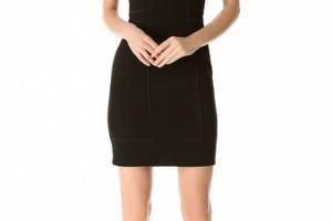 Alexander Wang Bustier Dress