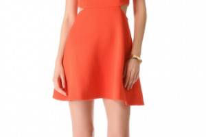 Club Monaco Tika Dress