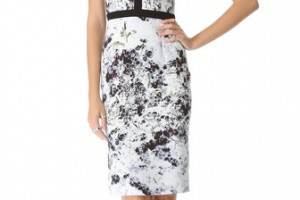 Cushnie et Ochs Print Sleeveless Dress