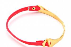 Gorjana Cassia Bar Neon Leather Bracelet