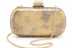 Halston Heritage Oblong Minaudiere