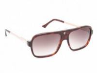 John Dalia Steve Sunglasses