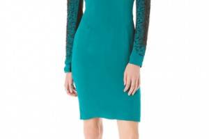 Yigal Azrouel Embroidered Georgette Dress